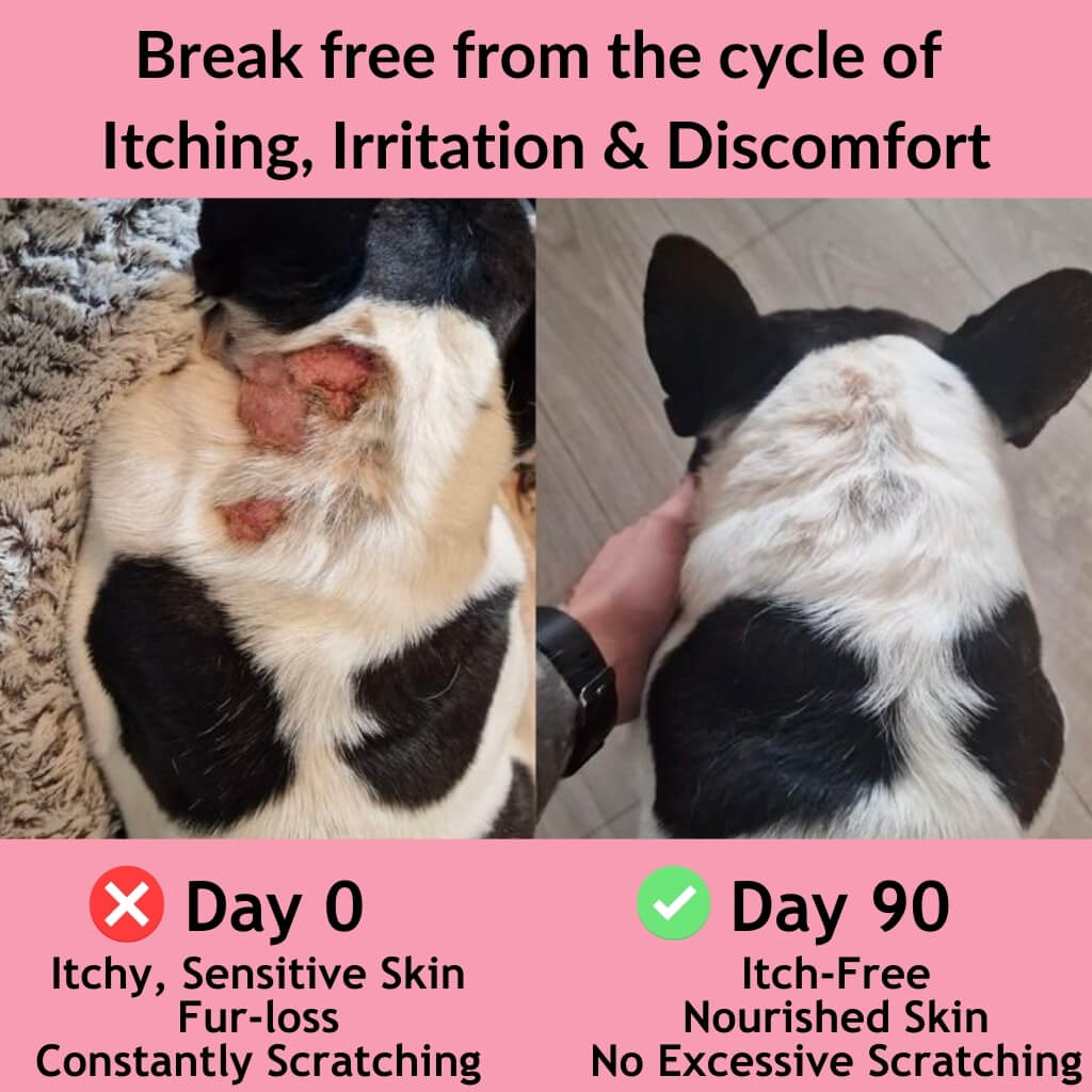 Topper per Cibo Antiprurito