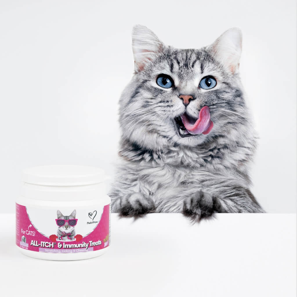 Masticabili Antiprurito per Gatti