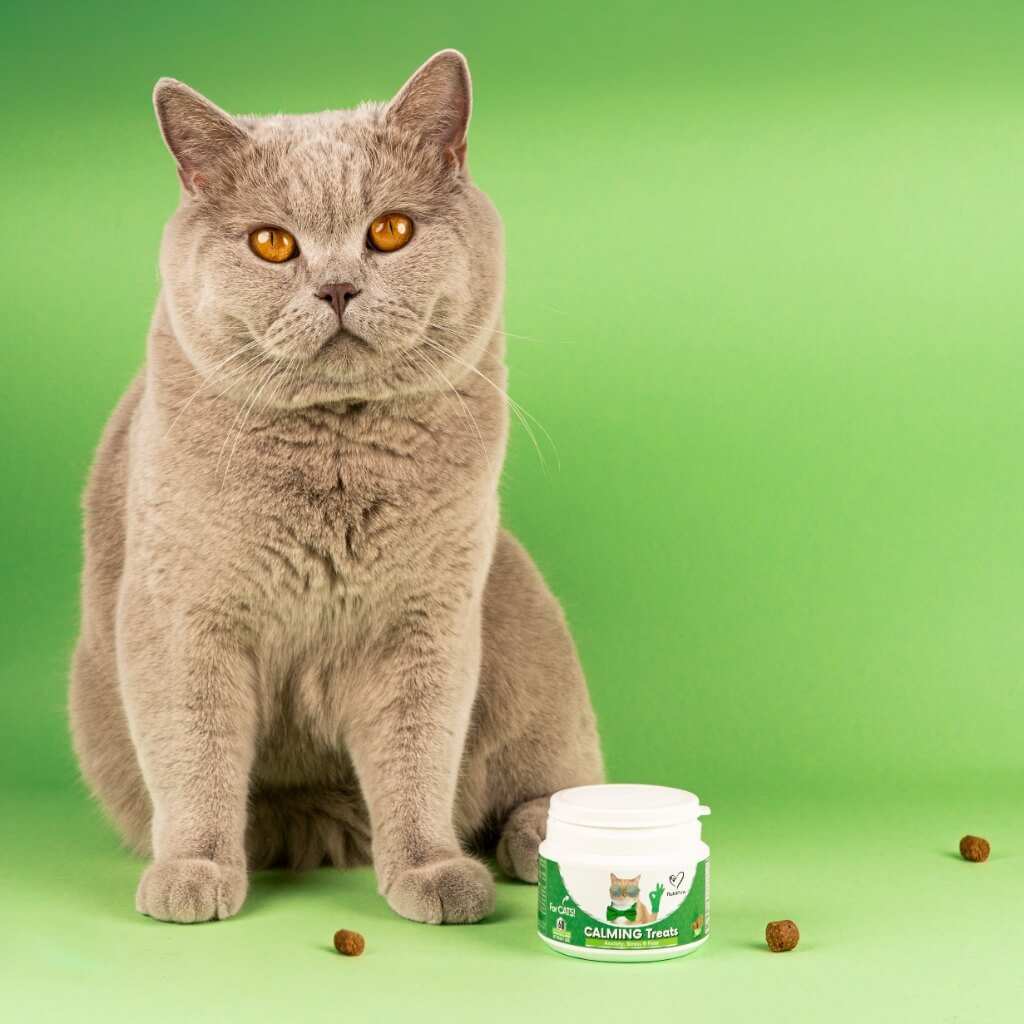 Masticabile Calmante per Gatti