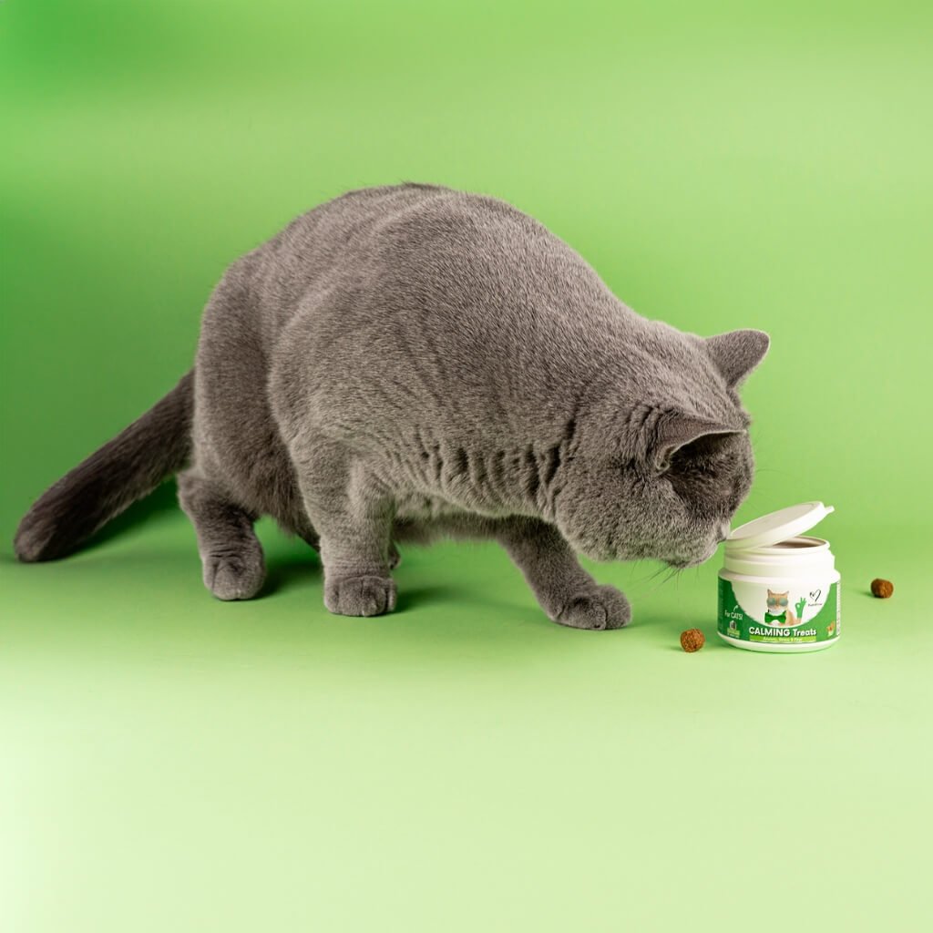 Masticabile Calmante per Gatti