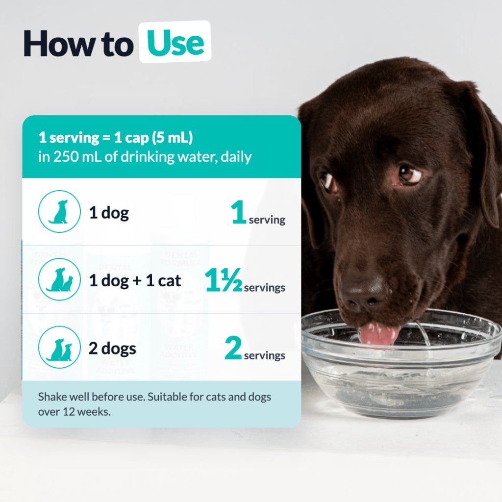 Additivo per l'Acqua Formula Dentale