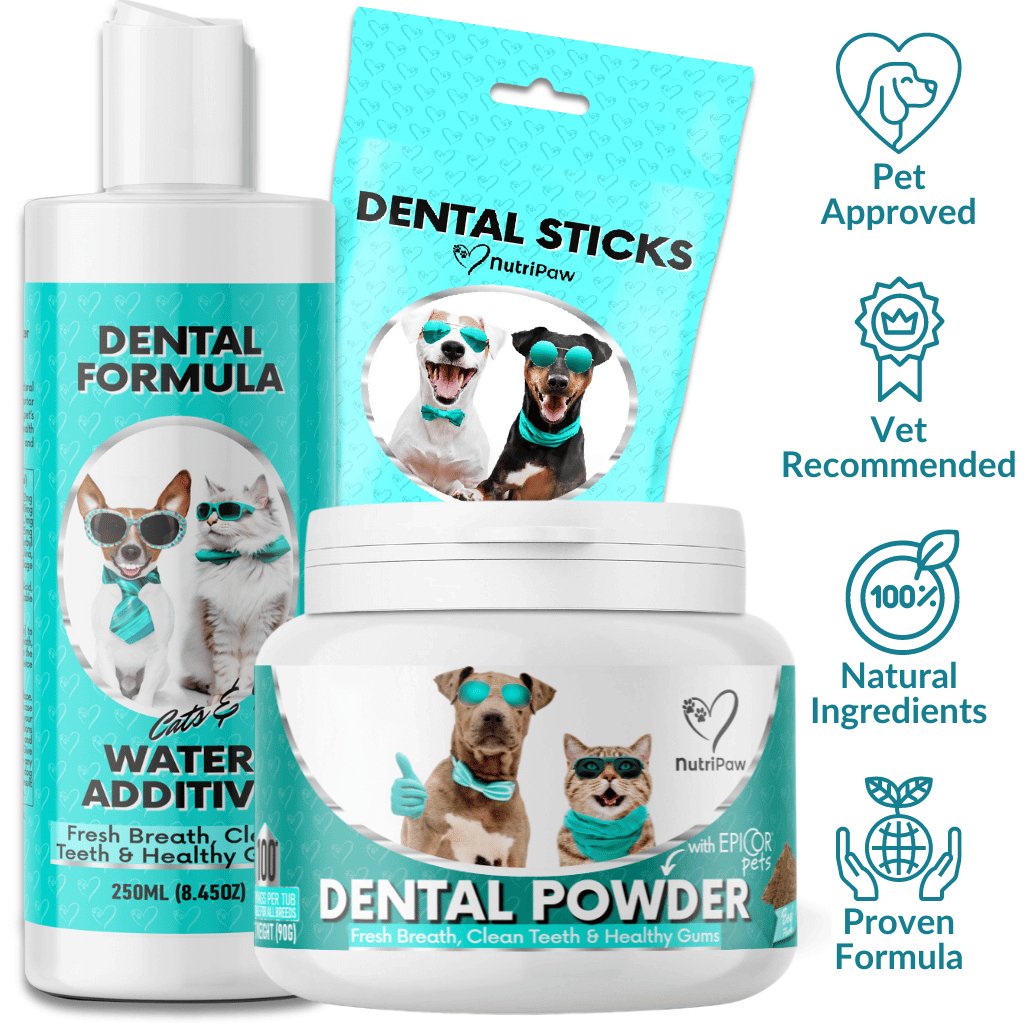 Kit Dentale