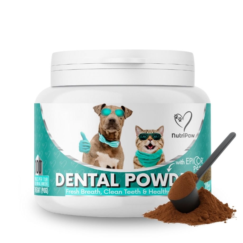 Polvere Dentale