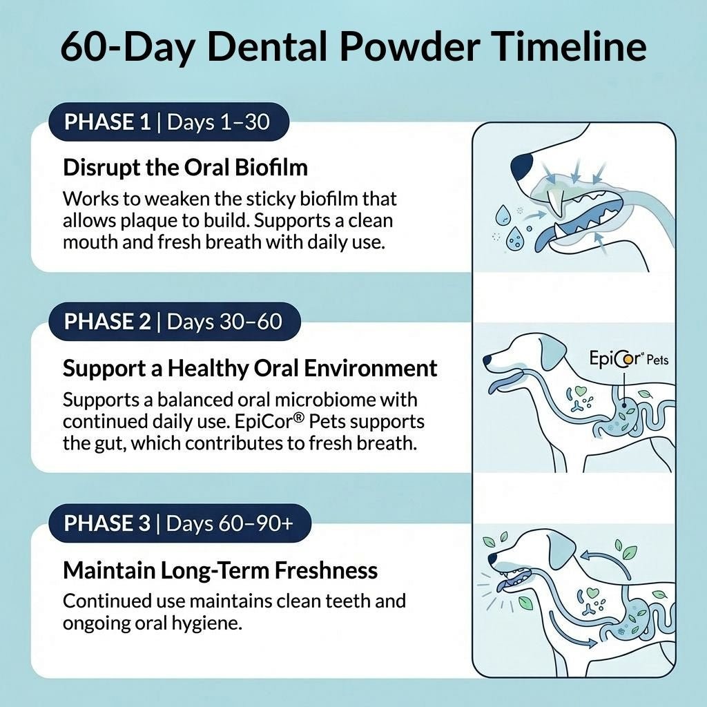 Polvere Dentale