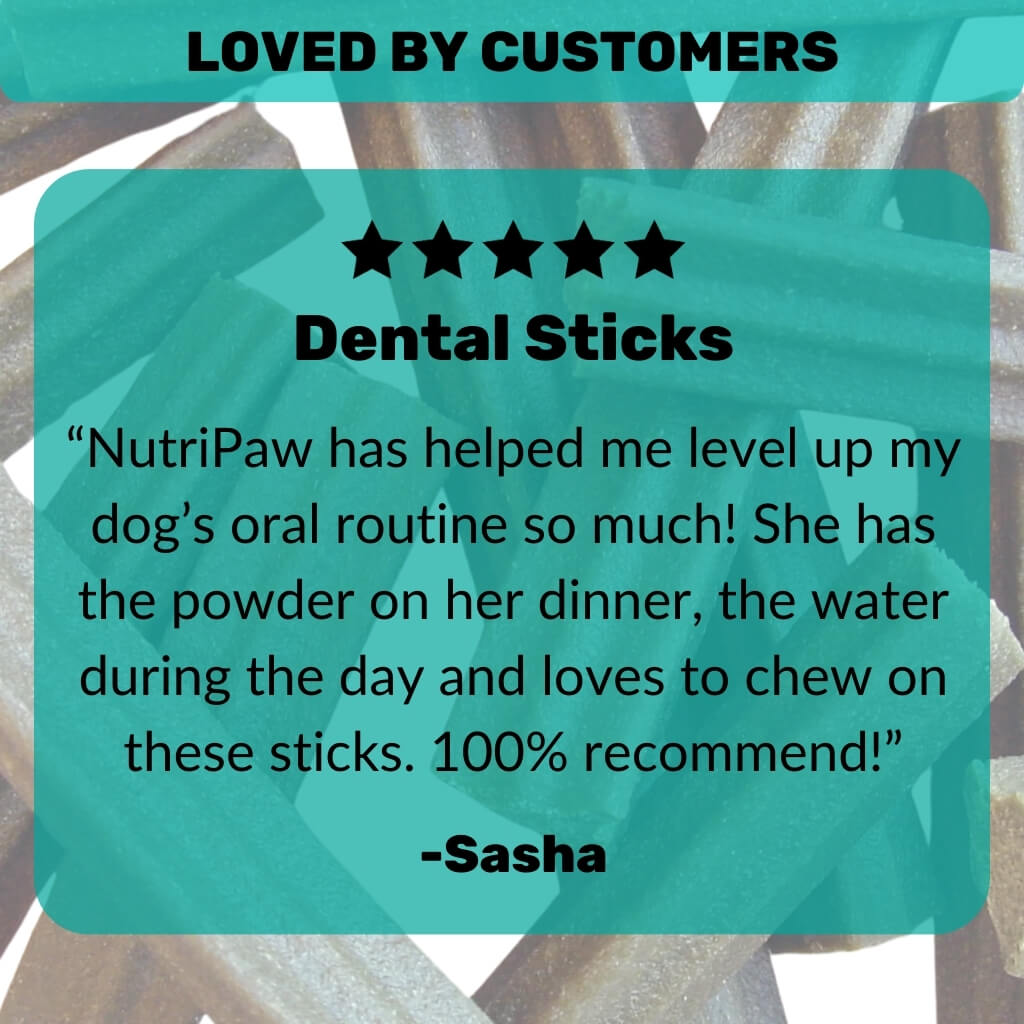 Stick Dentali