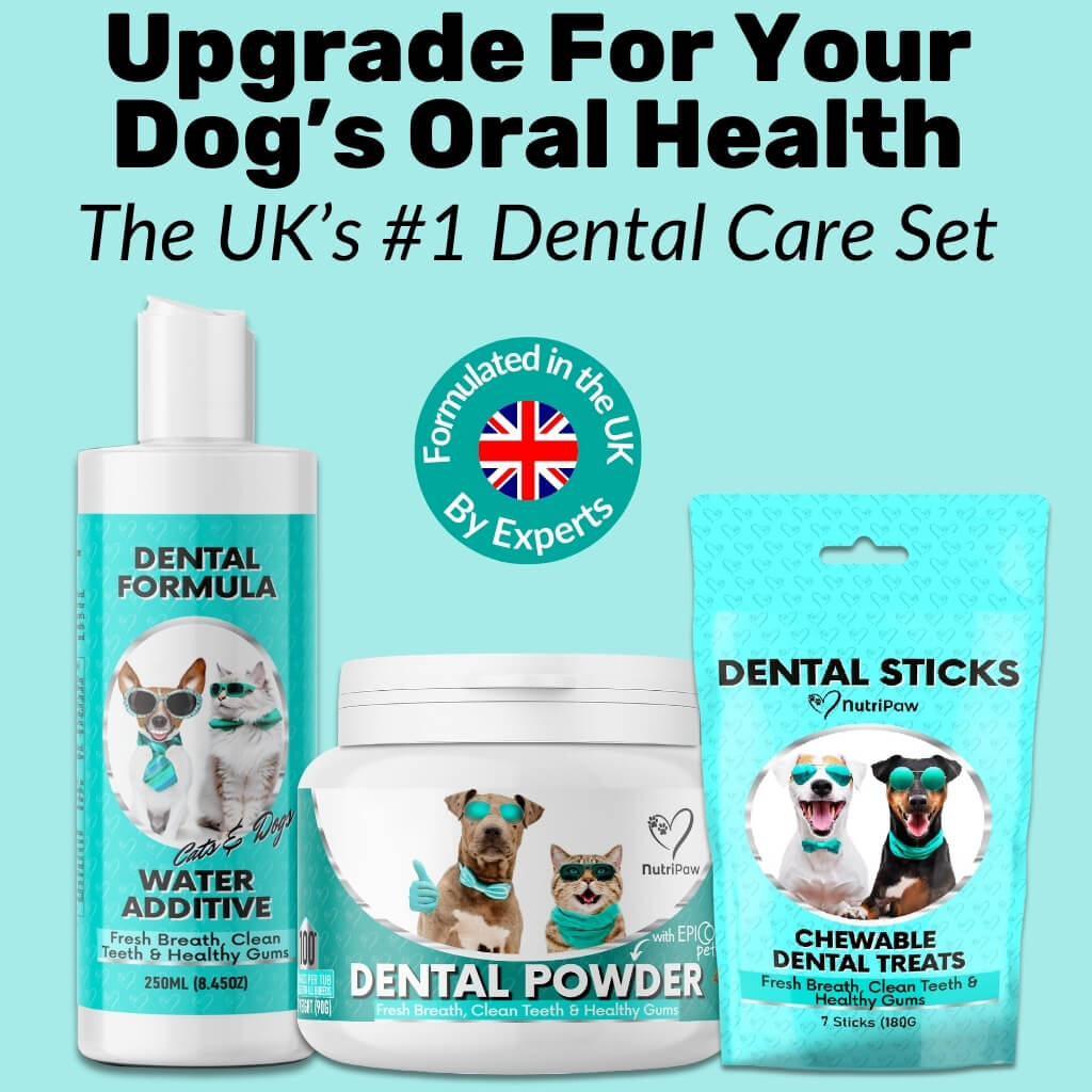 Stick Dentali