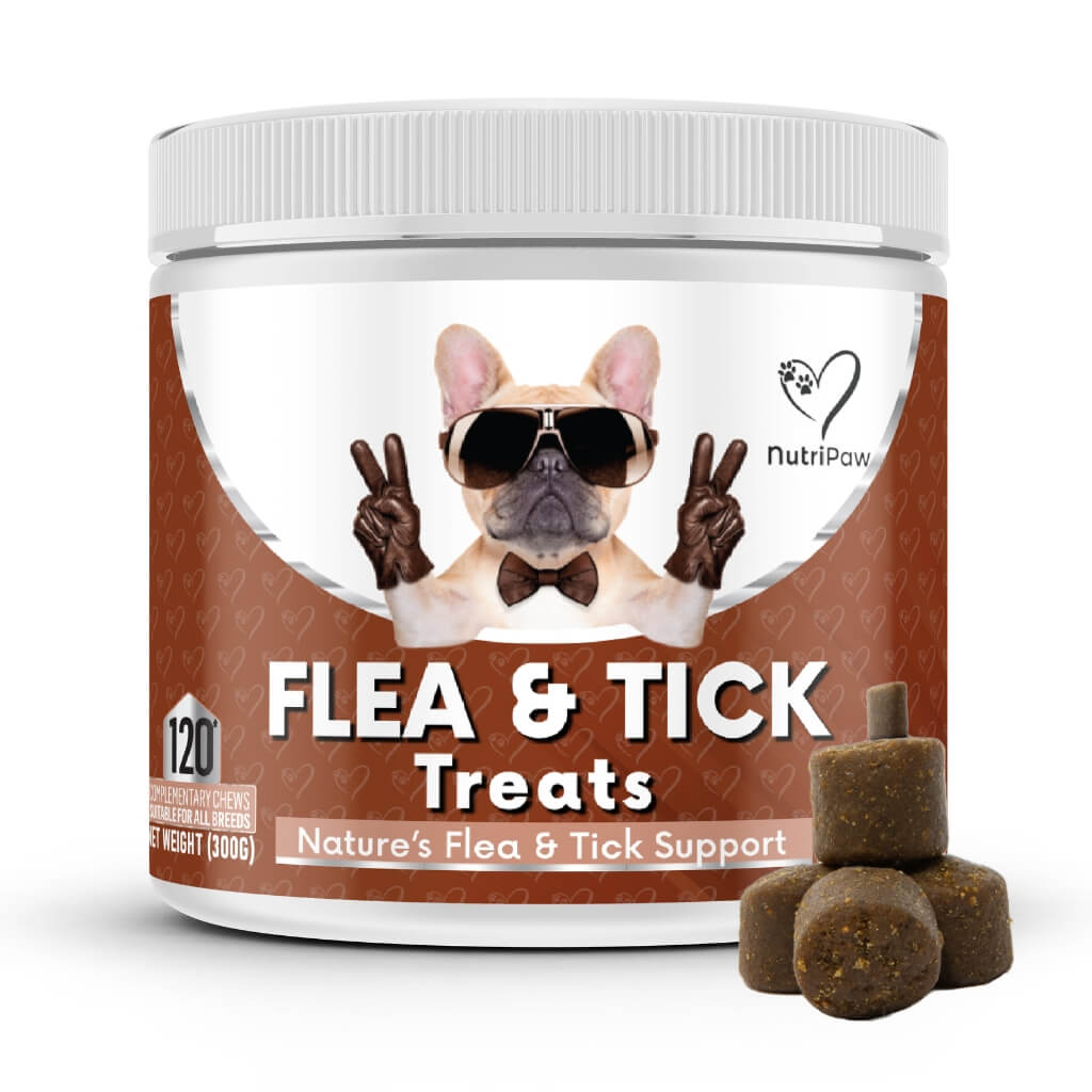 Snack Antipulci e Antizecche