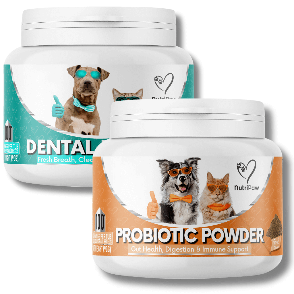 Kit Polveri per Intestino e Denti