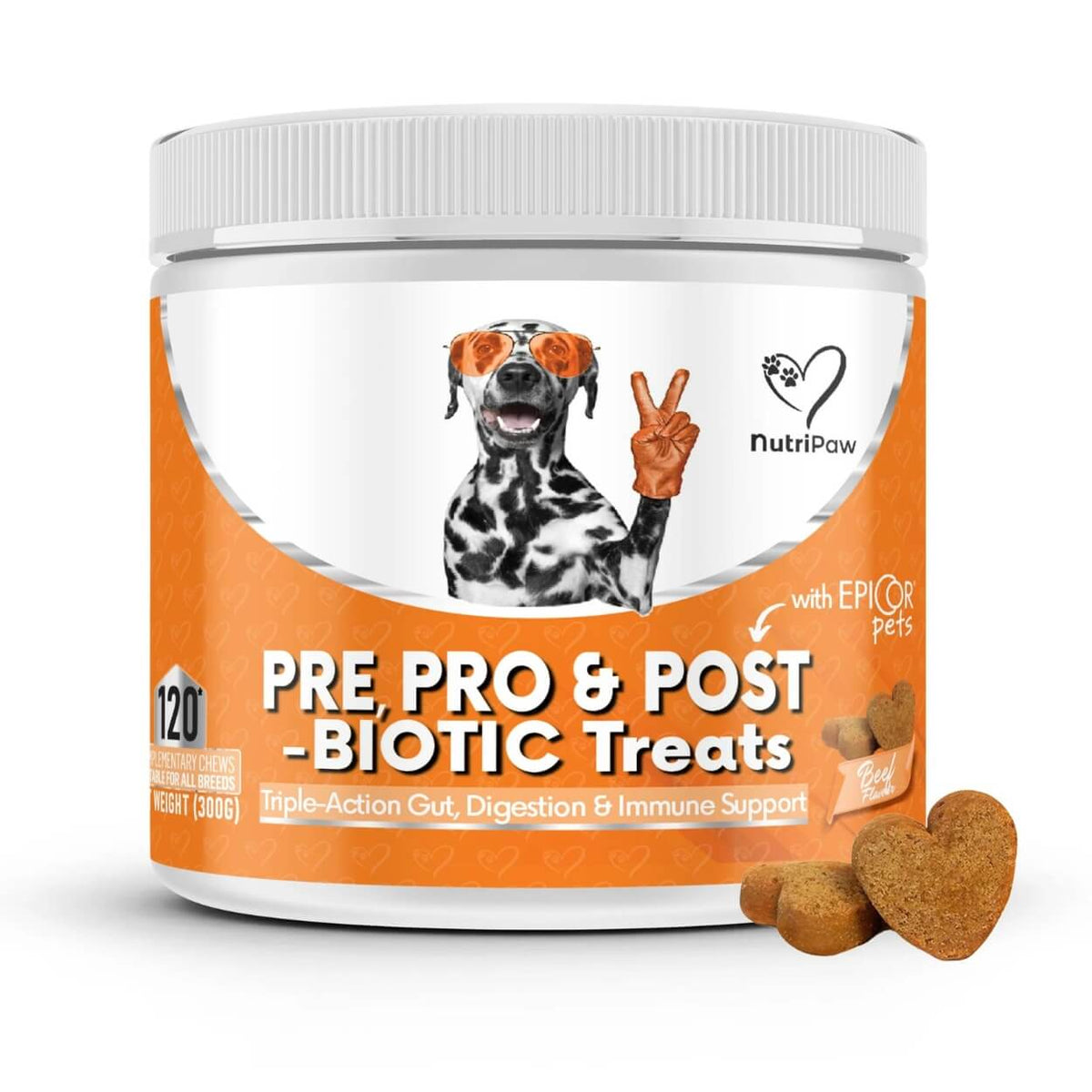Snack Digestivi Pre, Pro e Postbiotici