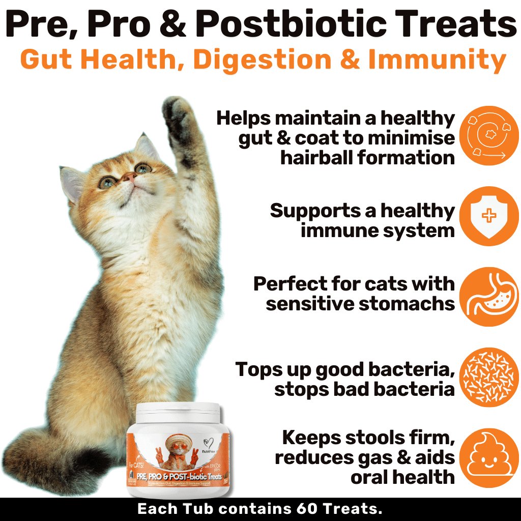 Masticabili Probiotici e Antipalle di Pelo