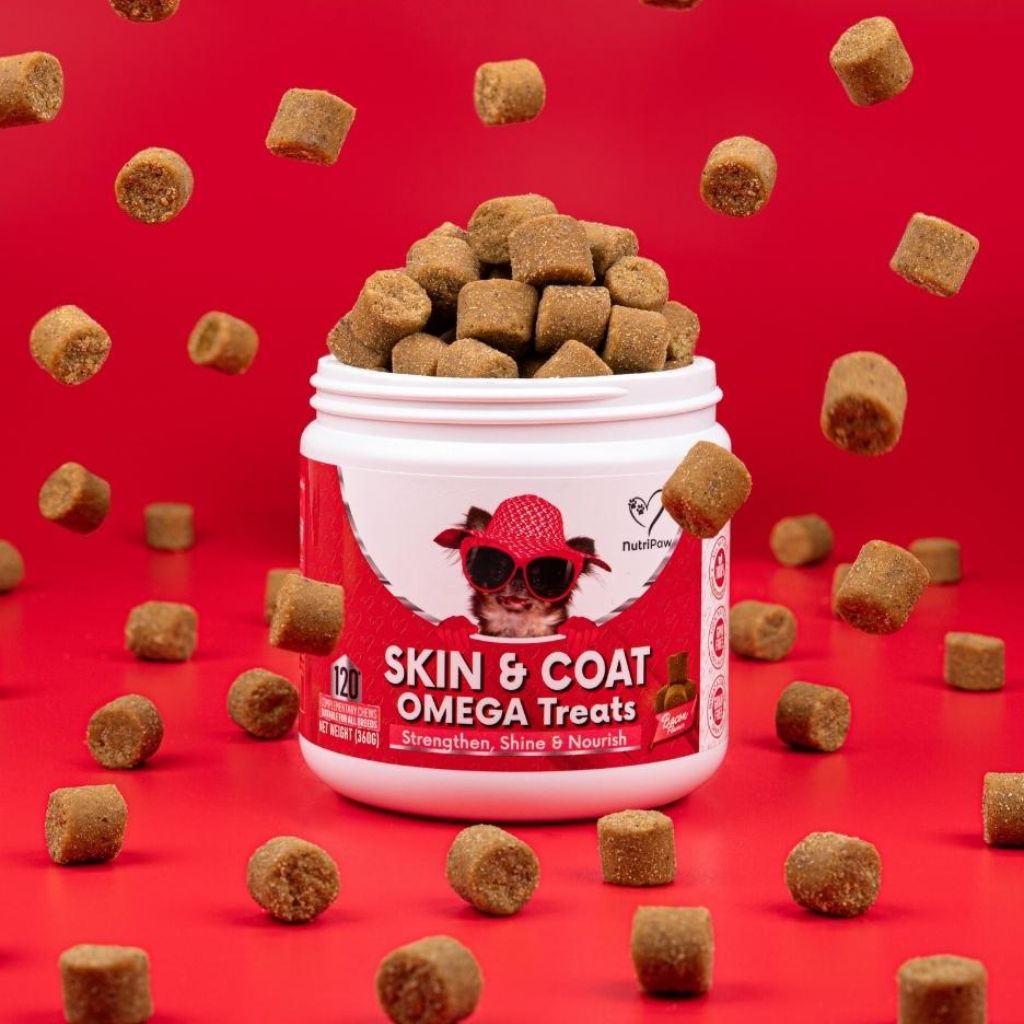 Snack per Pelle e Pelo